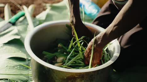 abrasive spear grass used to mash bananas in big pot, banana beer process