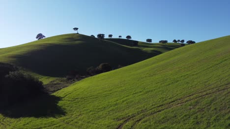 aerial drone fly over beautiful meadow rolling hills nature sunny day, spain