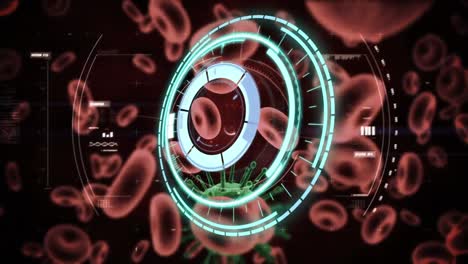 Animation-of-circular-scanner-over-red-blood-cells-and-covid-19-cell,-with-data-processing