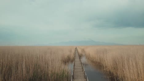 boardwalk on the lake - drone footage