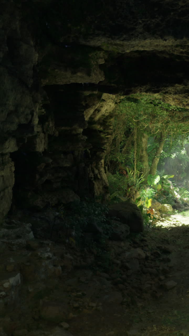 La luce filtra attraverso l'apertura di una grotta in una fitta area forestale di giorno.