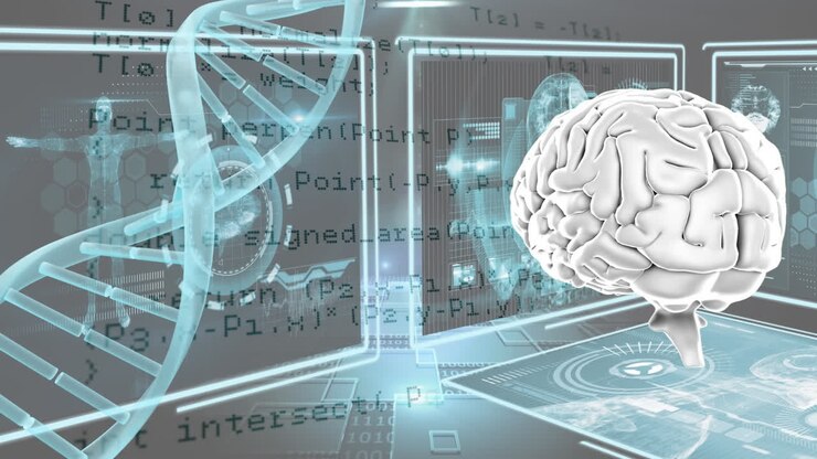 Human brain and DNA