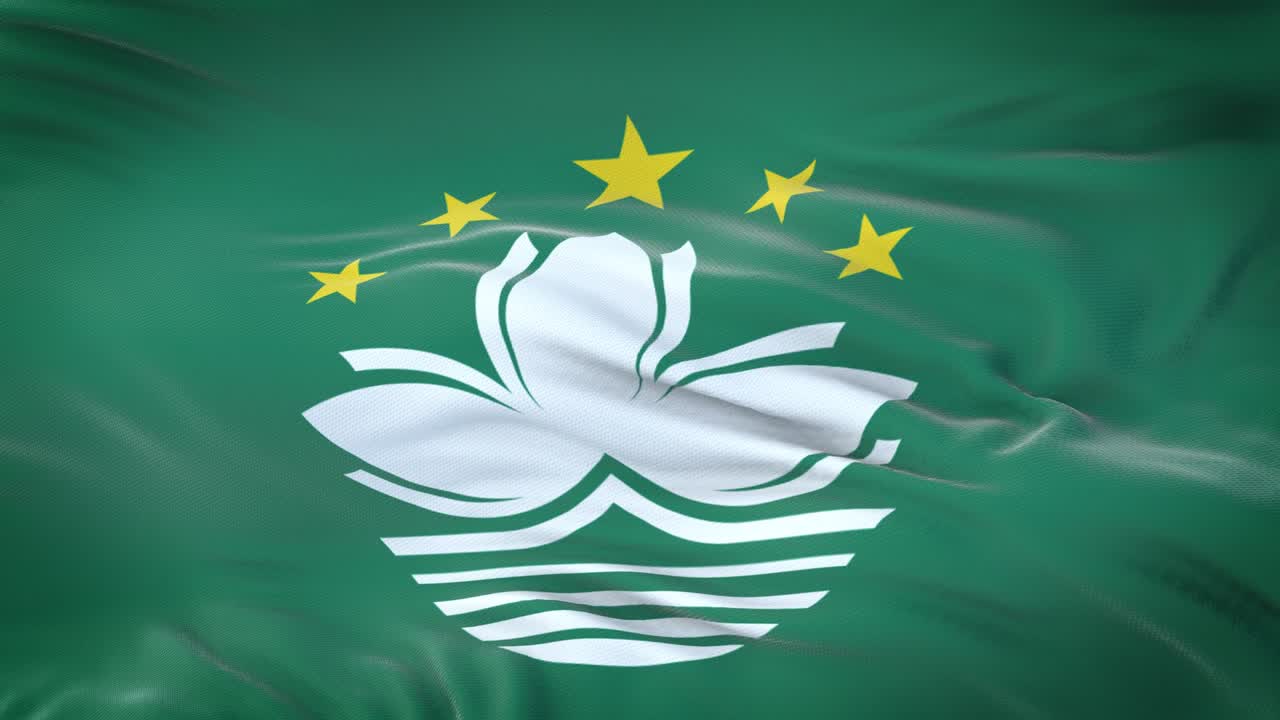 바람에 흔들리는 마카오 발, 매우 상세한 직물 질감, 무결한 루프