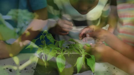 animation of african american family gardening over plants