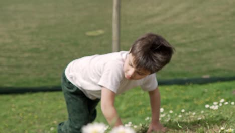 caucasian five years old boy, climbing up a hill with daisies , slow motion, medium close up shot