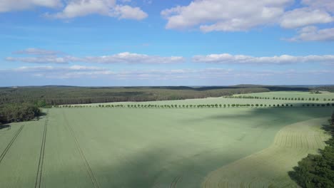 Drohnenschuss-Schwenkt-Langsam-über-Grüne-Felder-Und-Ackerland-Mit-Einem-Wald-In-Der-Ferne-An-Einem-Schönen-Sonnigen-Tag-Mit-Wolken-Am-Blauen-Himmel