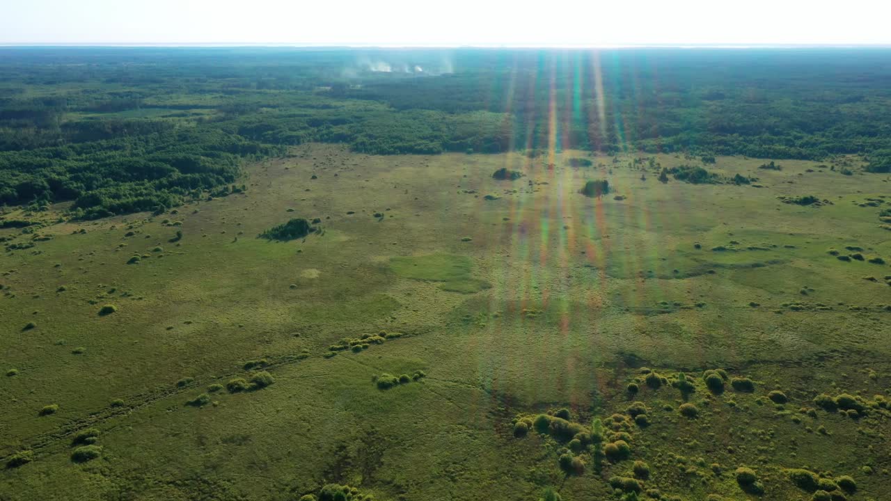 습지가 지나갈 수 없는 습지 빛 날씨에 공중 사진