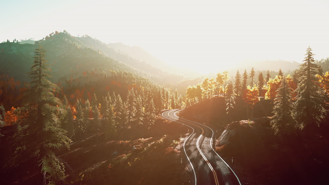 camino panorámico a través del bosque