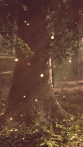 enchanted forest with fireflies