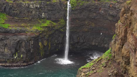 Mulafossur-Wasserfall-Von-Oben-Mit-Dem-Dorf-Gasadalur-Im-Hintergrund-Und-Einer-Herumfliegenden-Möwe