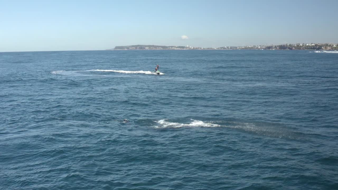 avistamiento de ballenas jorobadas frente a la costa de las playas del norte de sydney en longreef headland