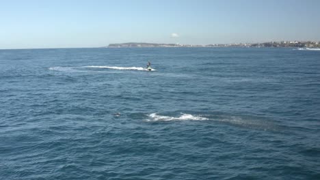 humpback whale watching off sydney northern beaches coastline at longreef headland