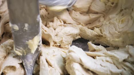 mezclar la masa en un mezclador de cocina