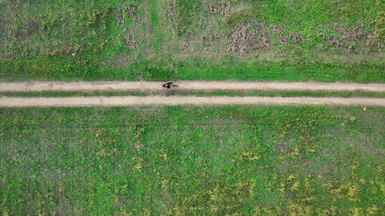 Vista aerea da drone che guarda direttamente in basso su un ciclista in bici elettrica che percorre una pista sterrata dritta attraverso un vibrante prato verde.