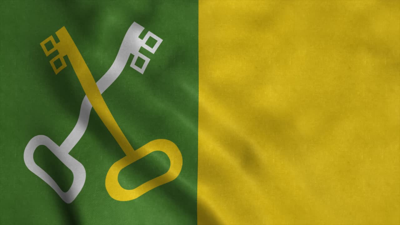 bandiera toa baja, città di porto rico, agitando nel vento. sfondo della bandiera realistico