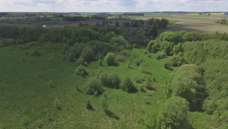 A-Green-Bushy-Area-Between-Cultivated-Agricultural-Fields