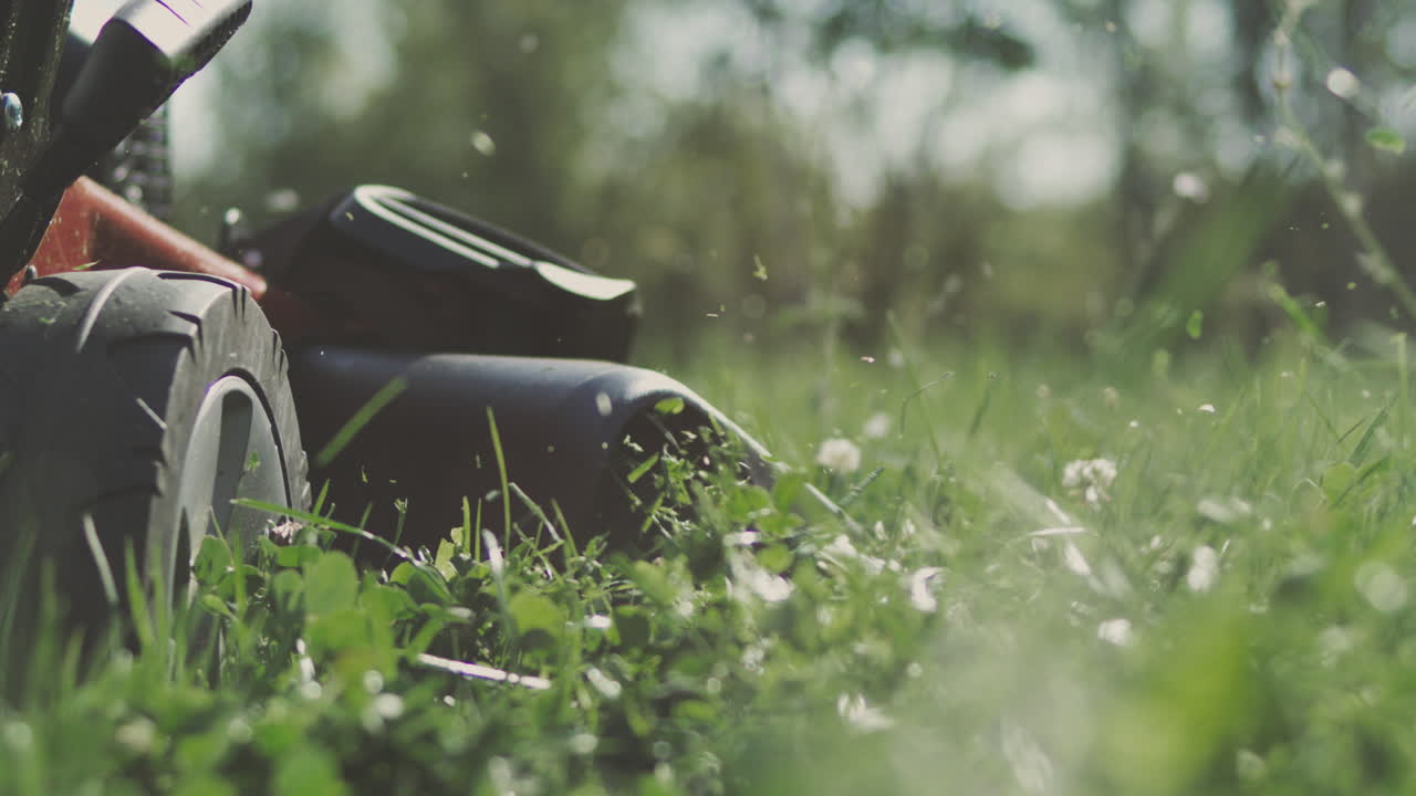 마당 에 있는 잔디 기 기계