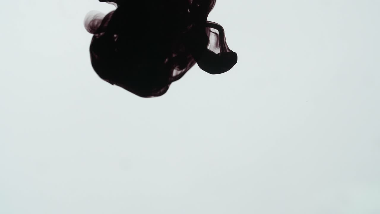 Black Ink Drop Into Water On A White Background