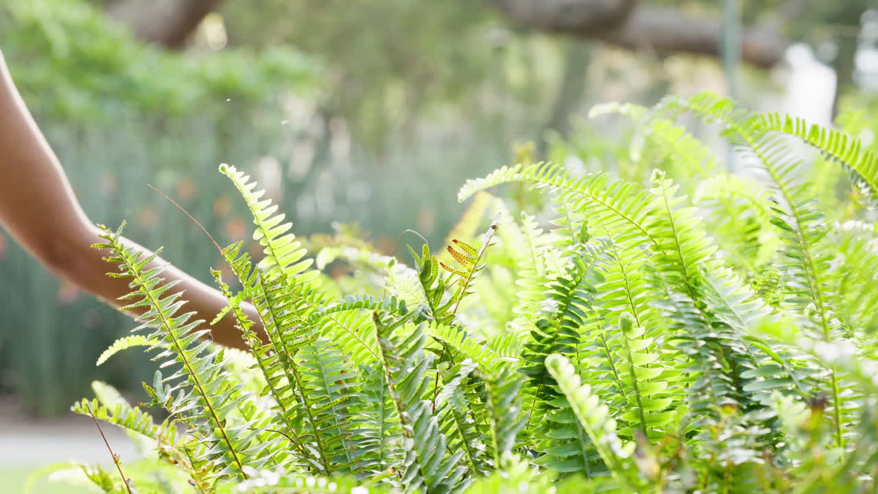 녹색 식물, 정원 및 잎 손의 질감