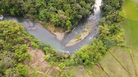 orbit drone shot of winding rocky river flows with dense trees and plantation