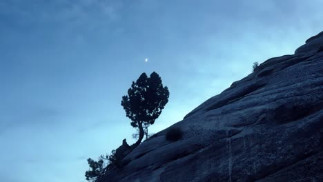 Eine-Aufnahme-Eines-Einzelnen-Baumes-Auf-Einem-Felsen-In-Der-Mojave-Wüste-Aus-Der-Tiefwinkelperspektive-Mit-Blauem-Himmel-Und-Einem-Tagsüber-Sichtbaren-Neumond-Im-Hintergrund