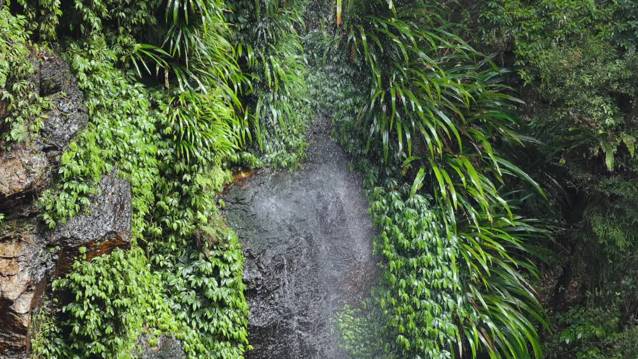 водопад, каскадирующий в пышном тропическом лесу