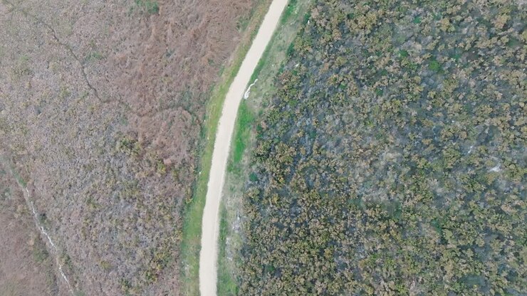 Overhead View Of Path On The Mountain Slope