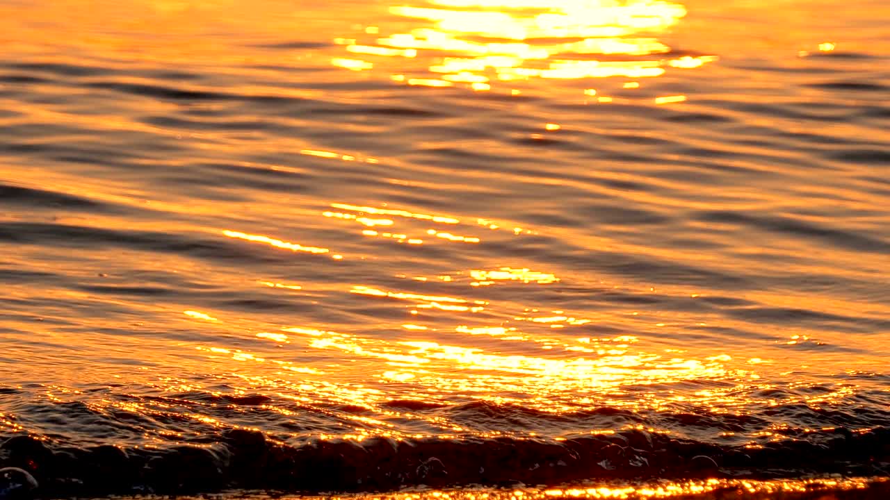 夕暮れの波 背景のループ 自然の構成 デザインの要素