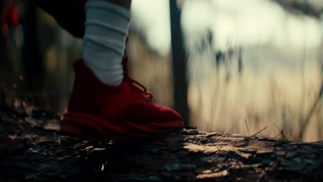 person walking in a forest with red shoes