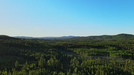 vast forest filled with green pine trees under the clear blue sky in vansbro municipality, dalarna county, sweden - aerial drone