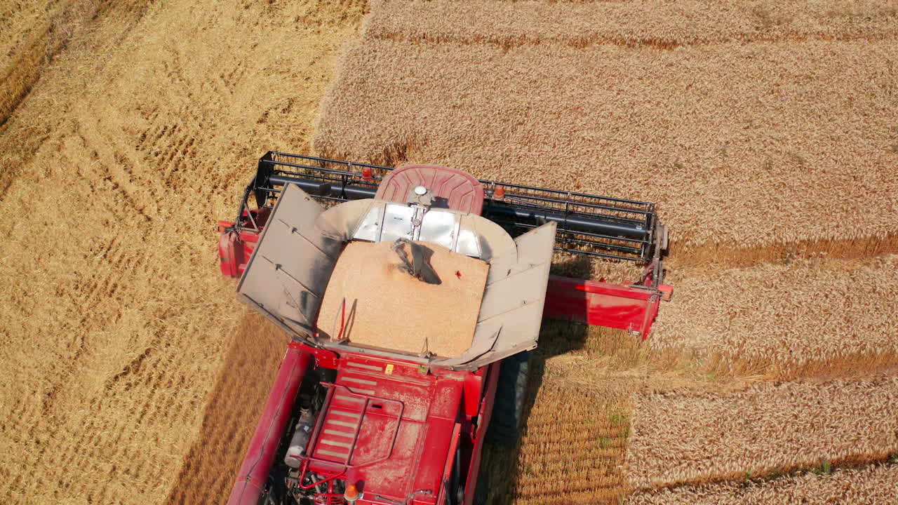 Full combine harvester moving slowly by the wheat field. Harvest machine cuts the ripe spikelets . View from above.