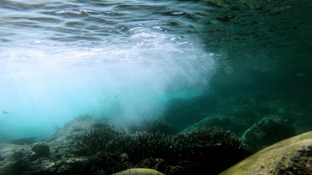 increíble lapso de tiempo submarino de un estanque de rocas lleno de peces y vida coralífera