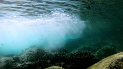 incredible underwater timelapse of a rockpool filled with fish and coral life