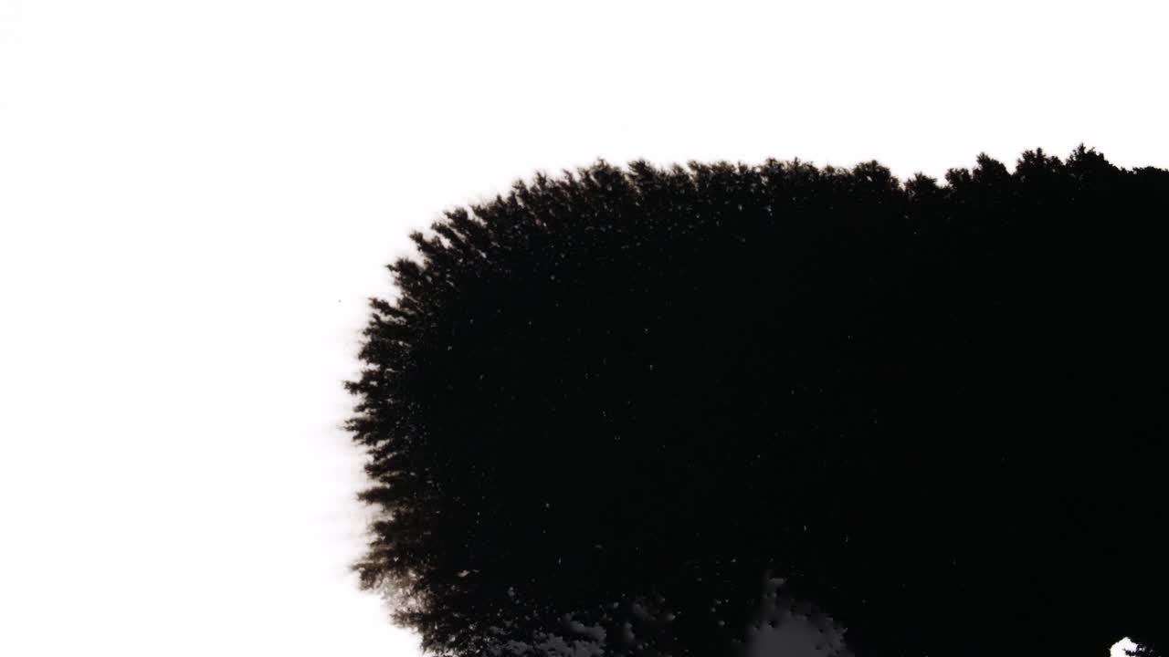 Black Ink Drops On White Background