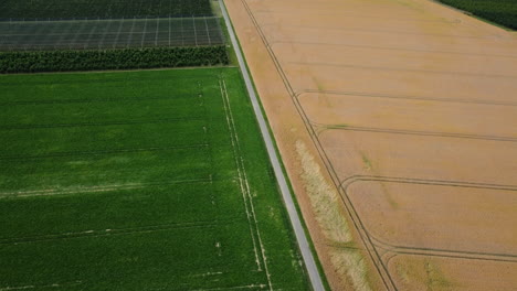 aerial view of farmland with different crops and a road