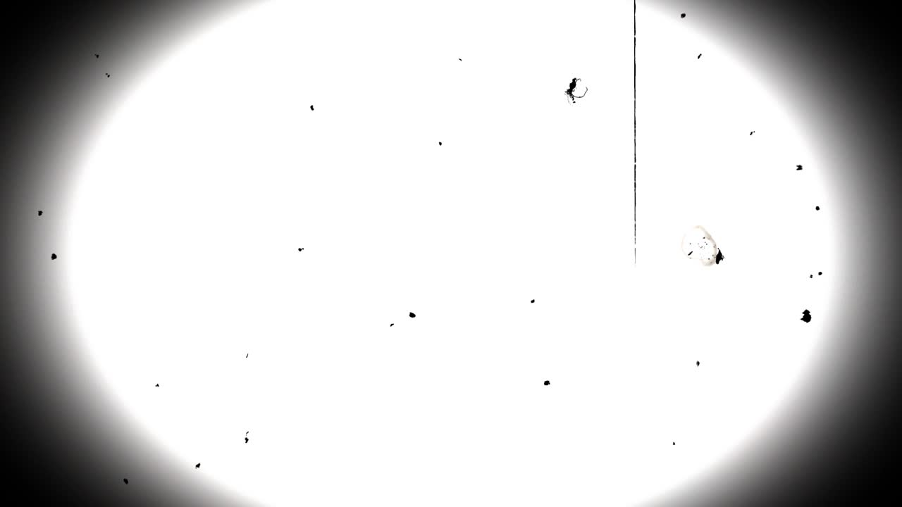 필름 손상 루프 1