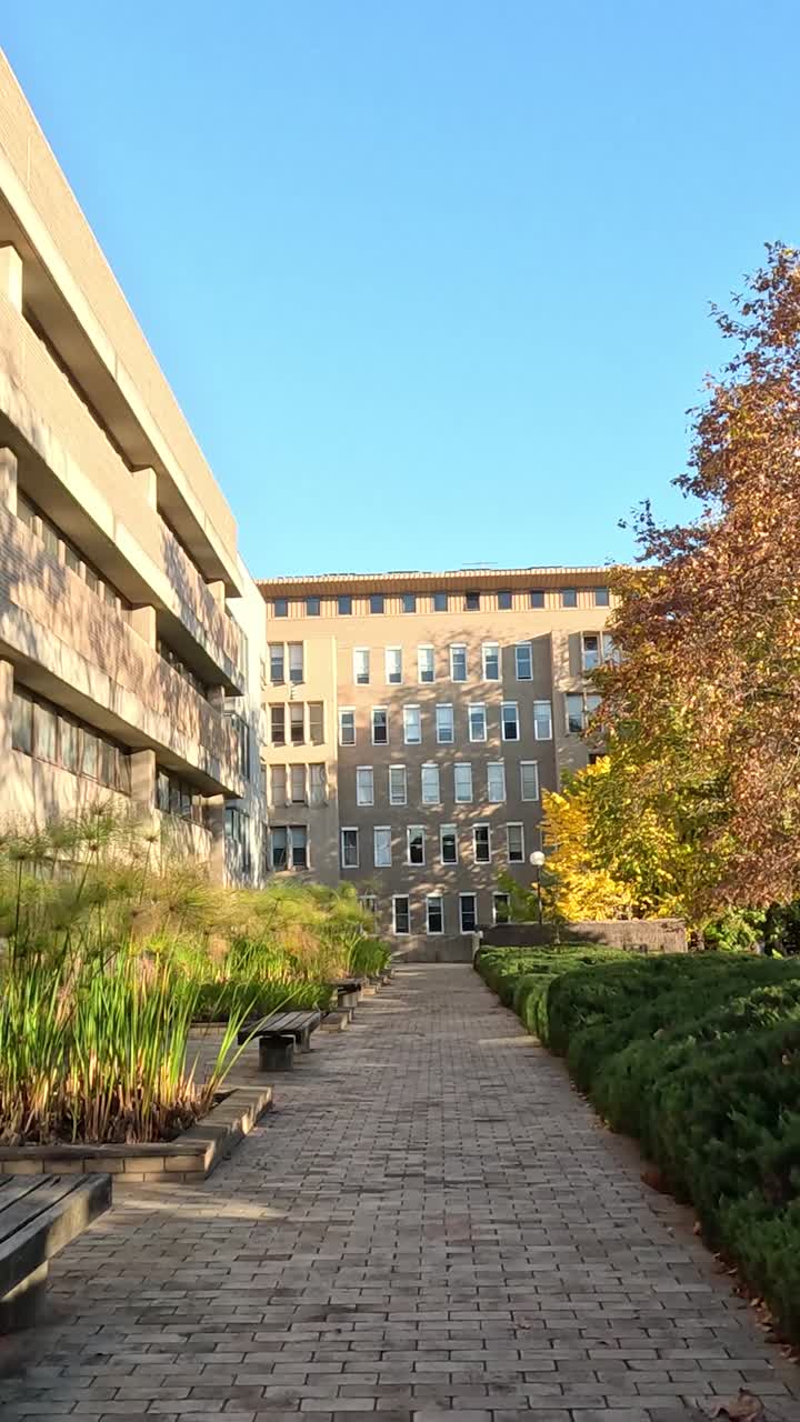 sendero a través del parque con árboles y edificios