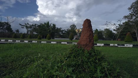 the indonesian garuda symbol and the papuan ant house