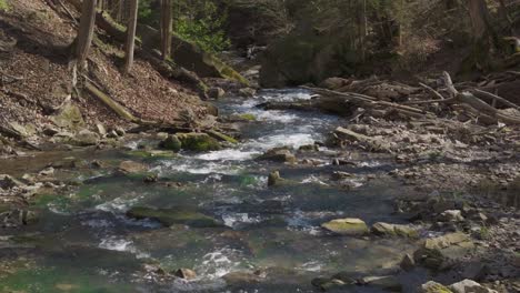 a peaceful stream flows through a forest with rocks and fallen logs in the early spring