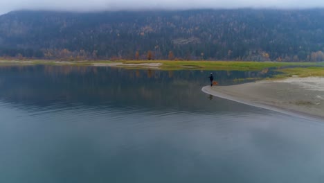 man walking with his dog near lakeside 4k