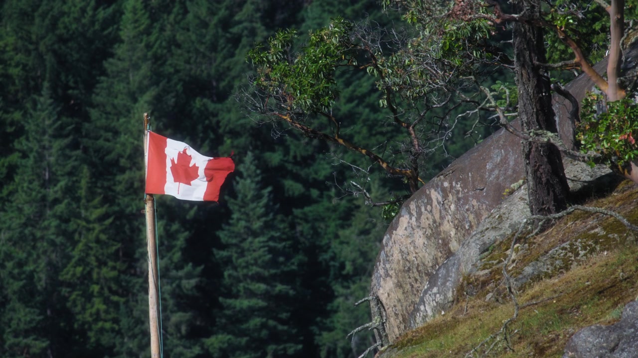 Bandiera canadese che sventola vicino alla costa rocciosa e alla pineta.