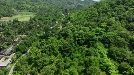 Views-over-small-village-in-Lombok-with-birds-flying,-Indonesia