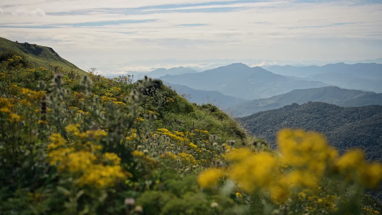 Himalayas Mountains Foothills in Nepal, Misty Blue Hills and Beautiful Mountain Landscape Scenery with Layers of Mist and Yellow Flowers