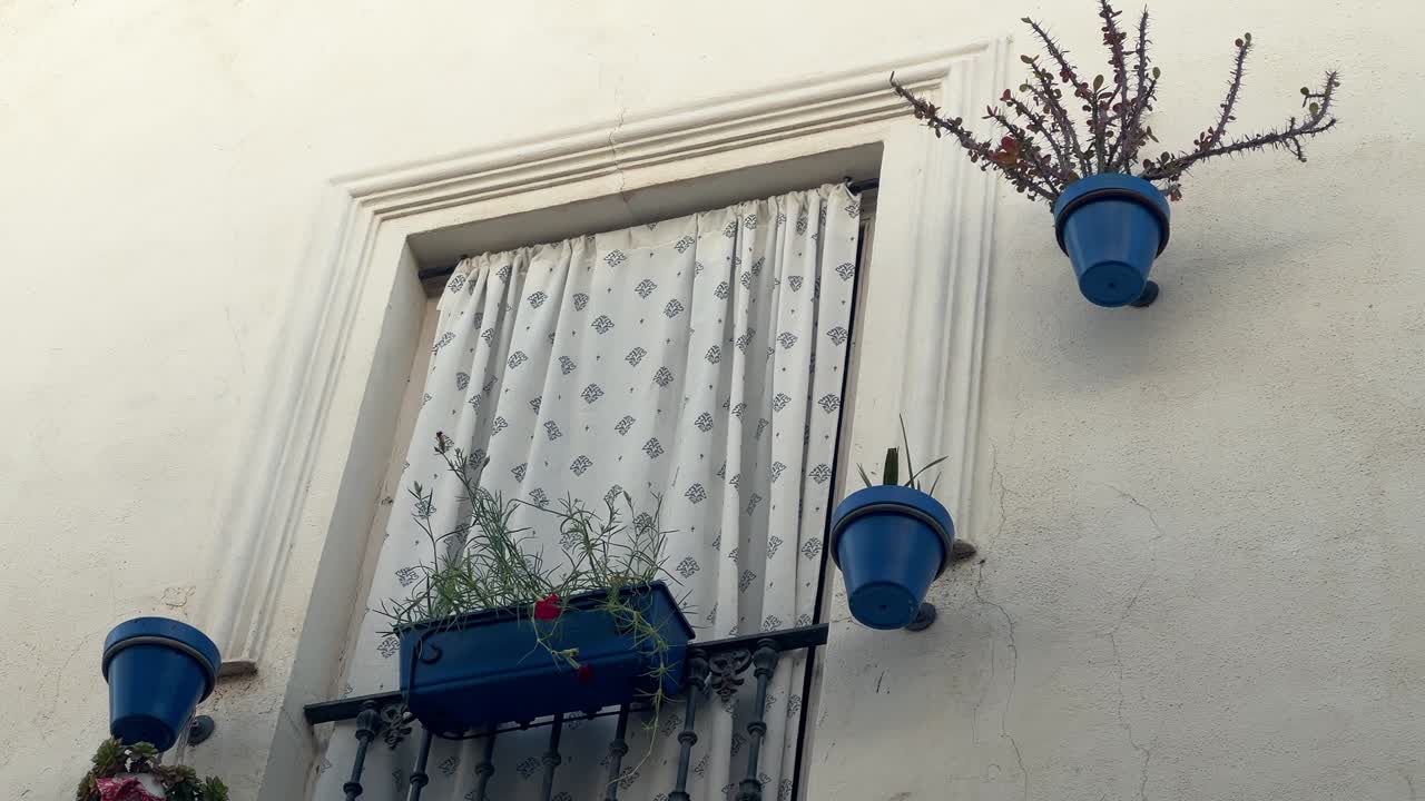 Inquadratura statica dal basso di una finestra con facciata bianca, ringhiera in ferro, tenda a fantasia e vasi di fiori blu a Barbate, Cadice.