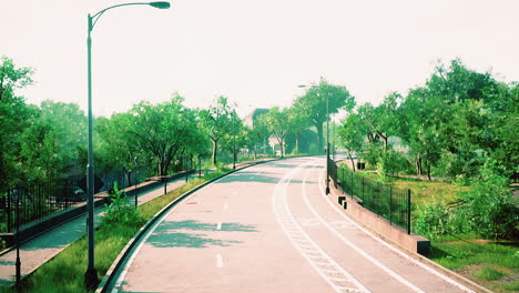 country asphalt road and green trees nature landscape in the summer