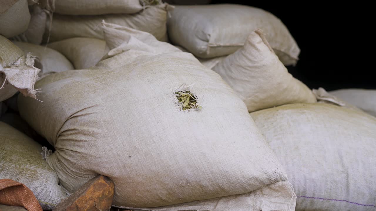 Sacks filled with yerba mate stored in shaded facility—bulging white bags packed with dried leaves, stacked for bulk handling and distribution, evoking export readiness, reveal shot
