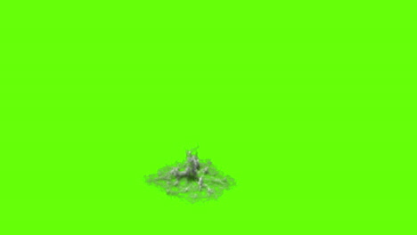 fire and explosion special effect on green screen