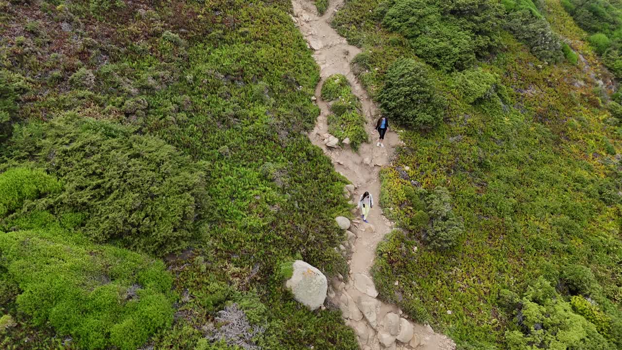 Scenic Trail Hiking Adventure
