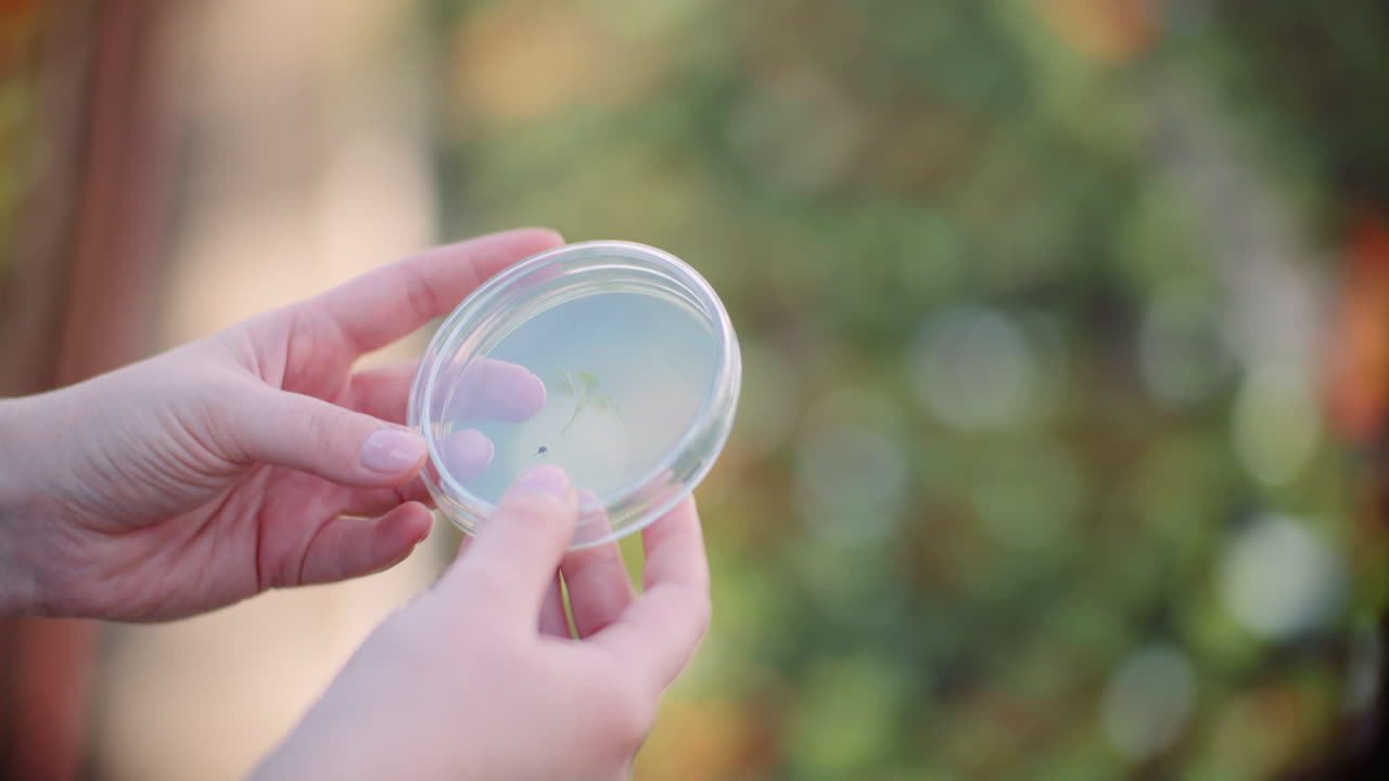 온실에서 식물을 검사하는 식물학자