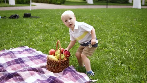 Slow-motion-of-a-blondy-boy-running-on-a-green-grass.-Takes-a-red-apple-from-picnic-basket-and-gives-it-to-his-loving-mother.-Picnic-outside.-Spring-time